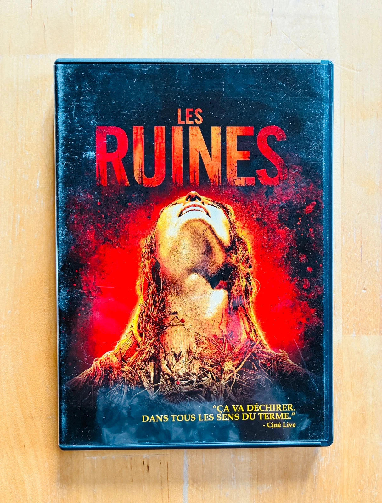 DVD Les Ruines.
